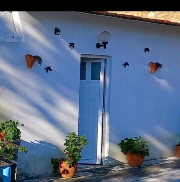 Apartamento Anexo Na Quintinha Caldas Da Rainha Exterior foto