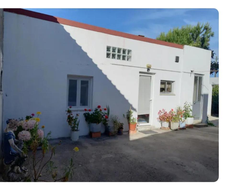Apartamento Anexo Na Quintinha Caldas Da Rainha Exterior foto